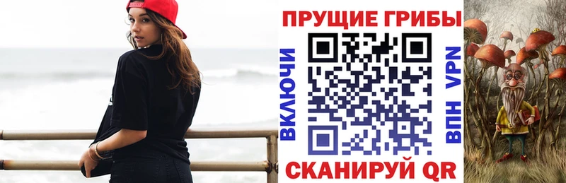 Псилоцибиновые грибы мицелий  Скопин 